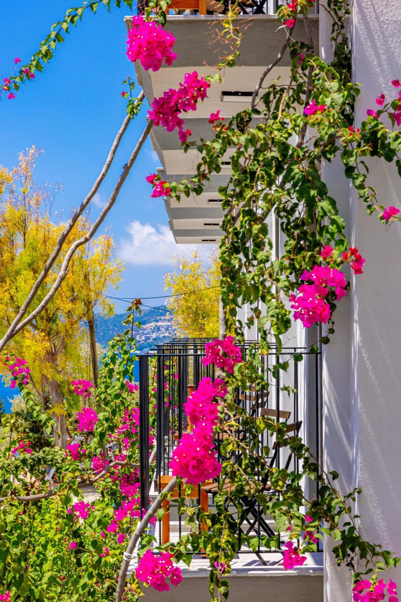 Gasthof Aphrodite 2*