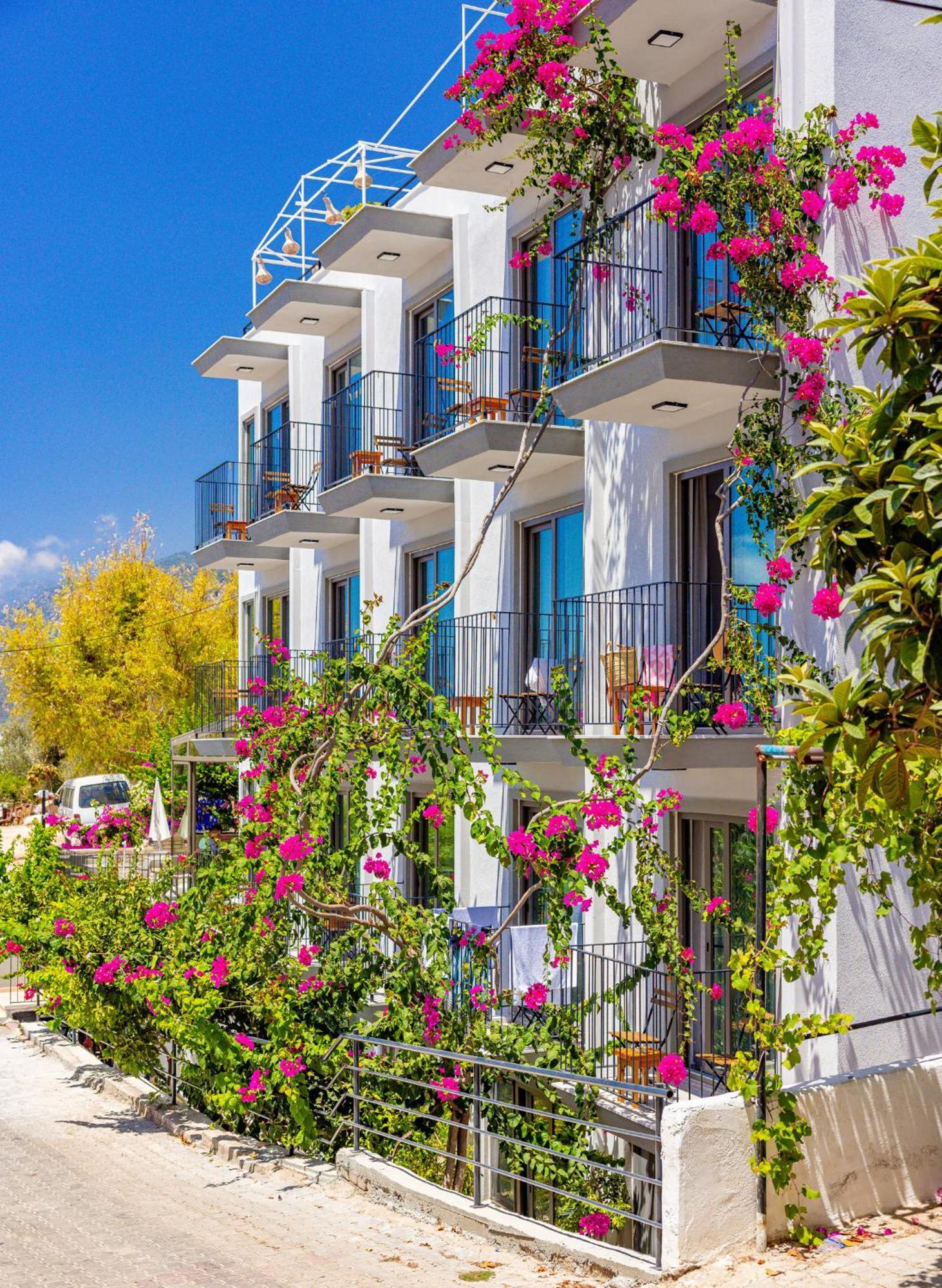 Gasthof Aphrodite Kaş
